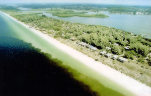 caloosahatchee river algae